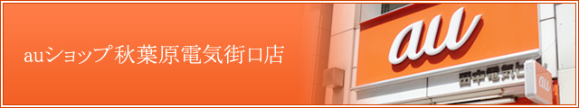 auショップ秋葉原電気街口店