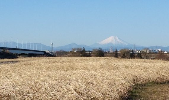 田中電気グランド