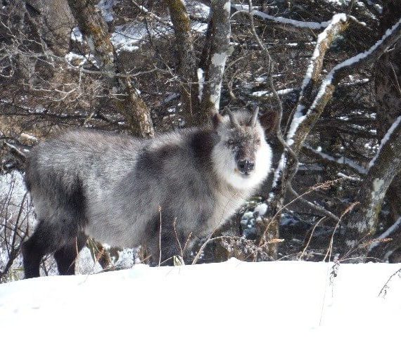 放送事業用VHF連絡無線デジタル移行工事