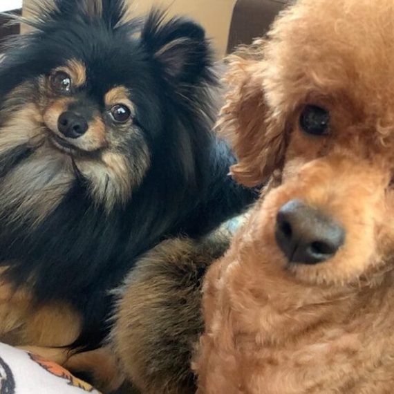 可愛い家族が増えました！