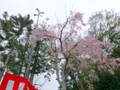 中山町自治会様