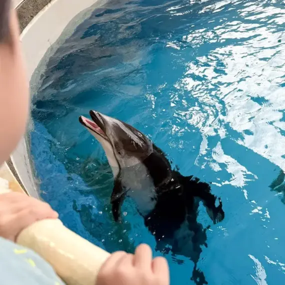 息子と楽しむ、お気に入りスポット