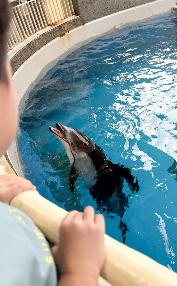 息子と楽しむ、お気に入りスポット