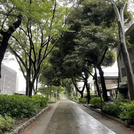 近所の魅力的な場所について！