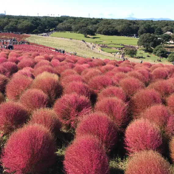 久しぶりの遠出！