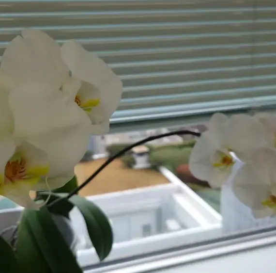 新事務所移転から1年半が経ちました