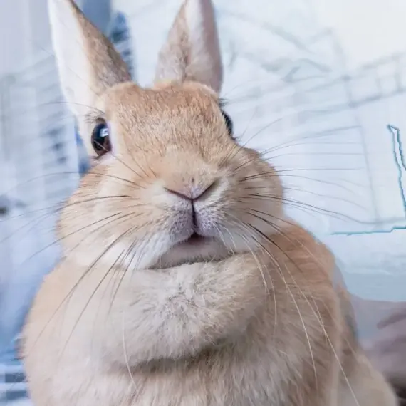 スマートウォッチで新生活をスマートに！