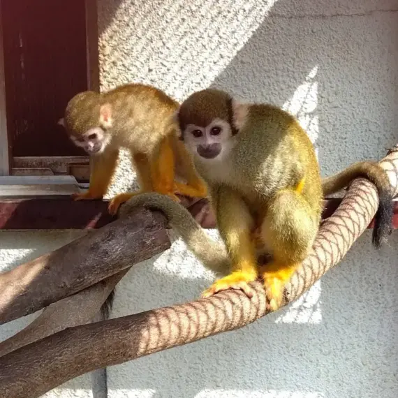 とある学校の設備更改作業に行ってきました