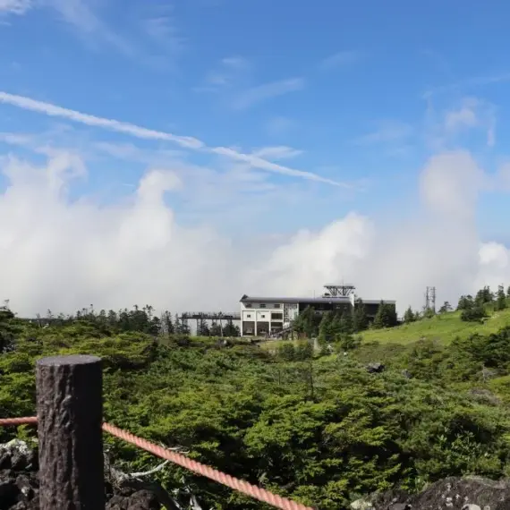 社会人として迎える初めての夏！