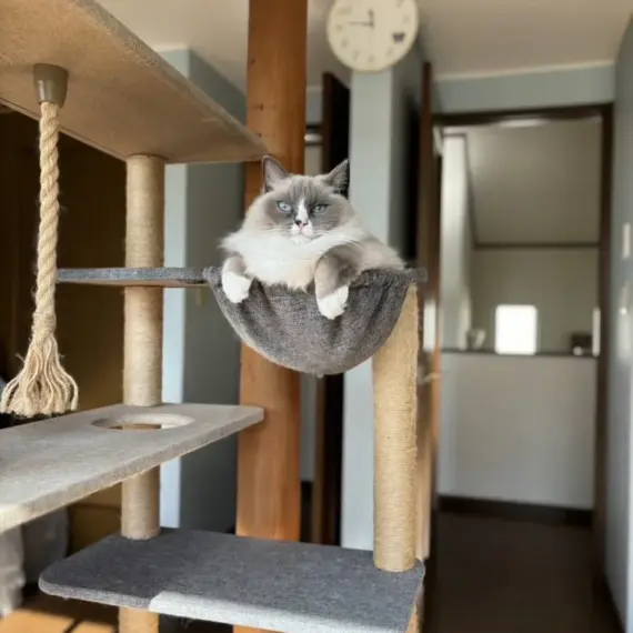 入社して半年が経ちました！