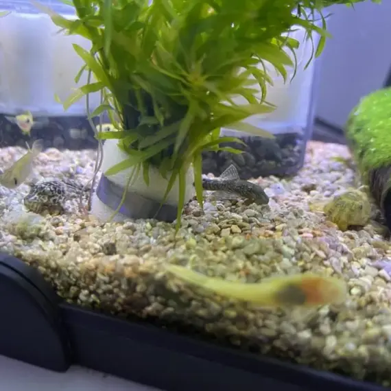 お困りごとはありませんか！