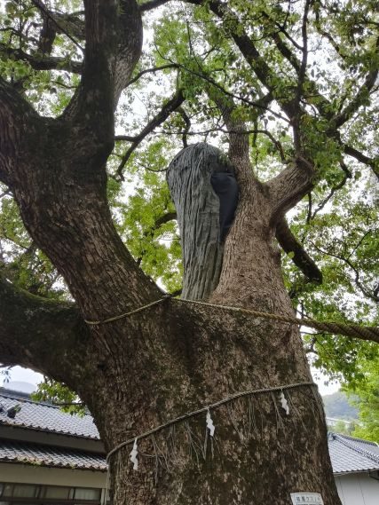 長崎で考えた、ドローンの「これから」